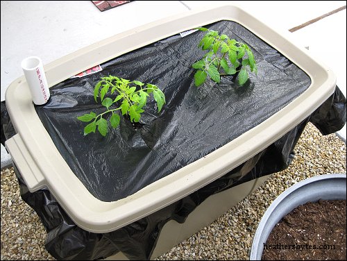 EarthTainer Container Gardening